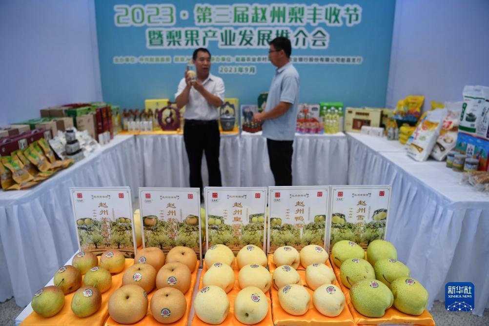 意大利赌城网站